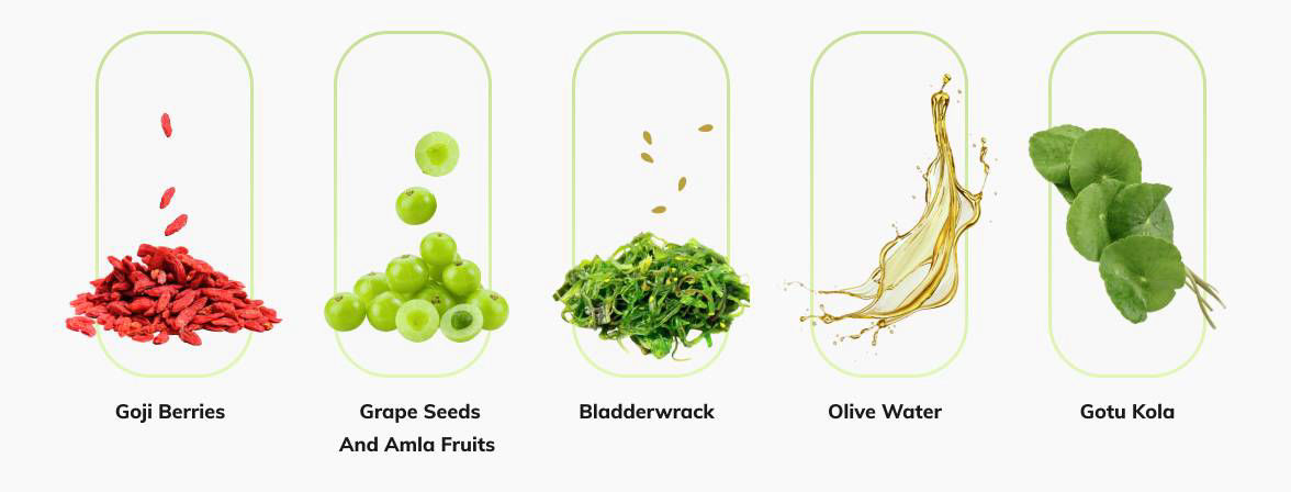 Bio Melt Pro supplement facts